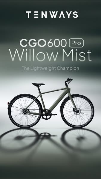 Stand Out in Willow Mist