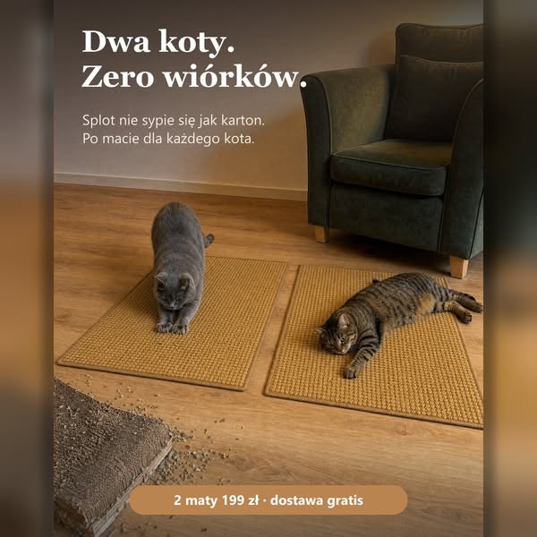 Kot drapie. Kanapa cała.