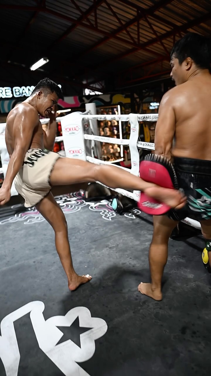 Anúncio de Yokkao