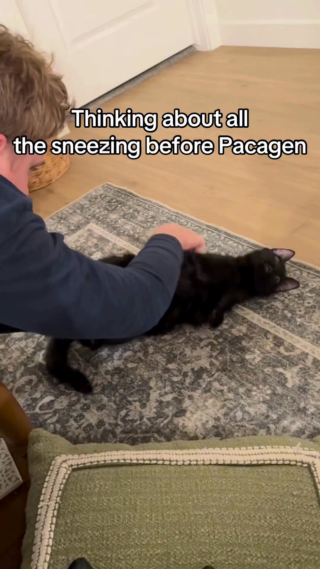 Life Should Be Easy With Your Cat