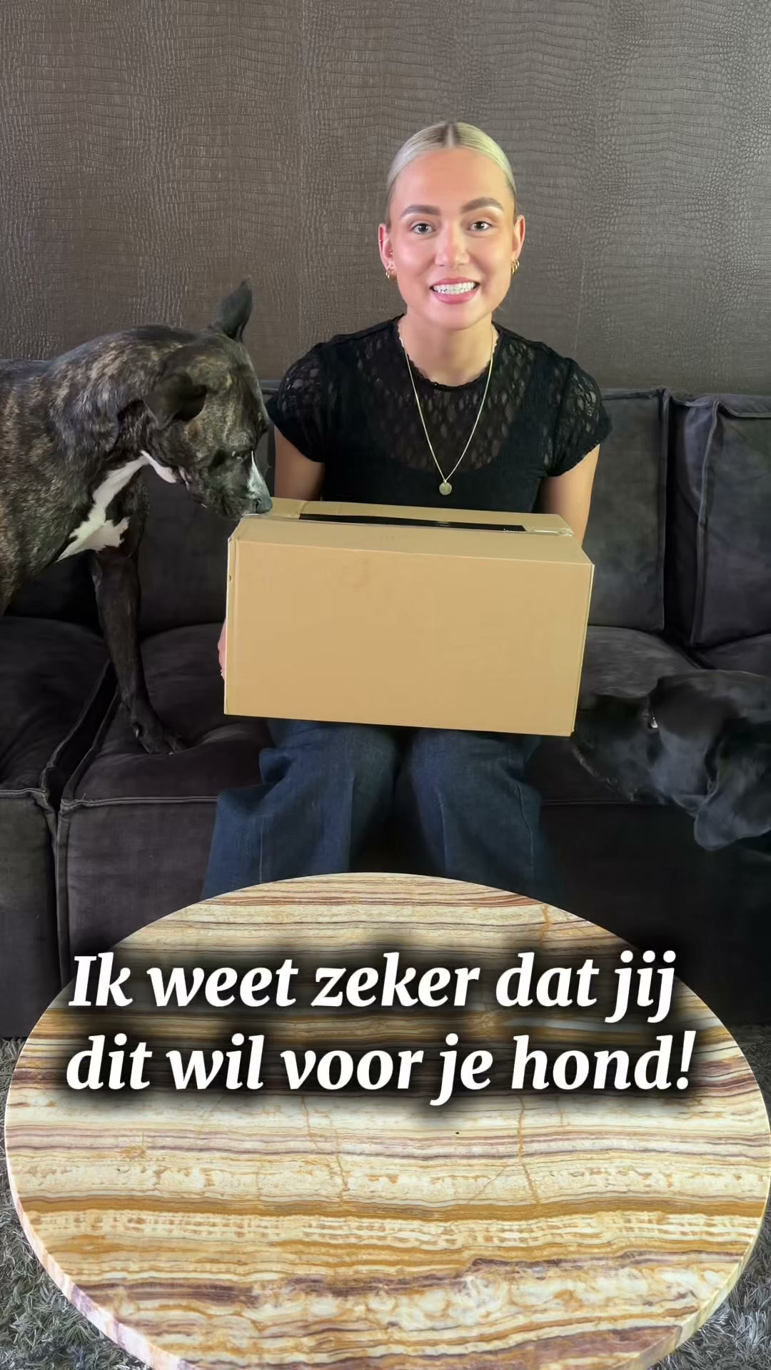 Meer dan 100 gezonde hondensnacks!