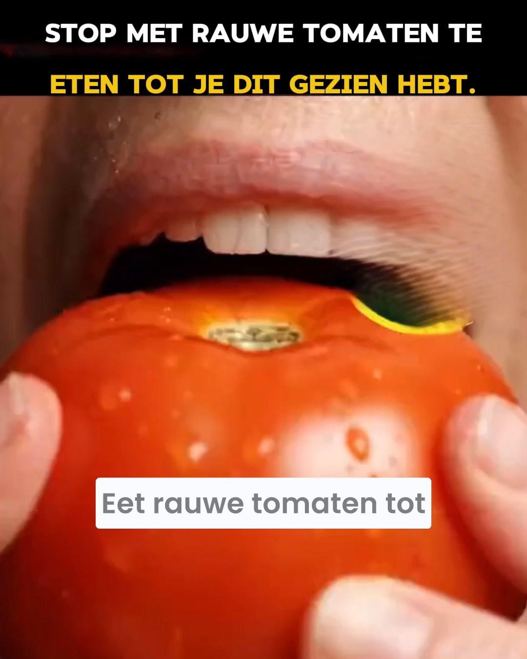 Altijd moe, slecht slapen, stijve gewrichten – en het gevoel dat niets echt helpt?
