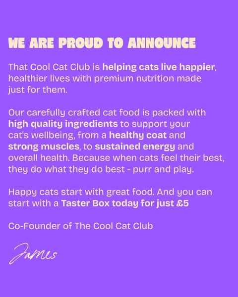 Over 10,000+ happy cats!