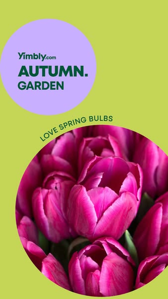Dig Into Autumn