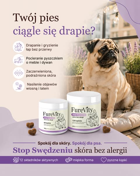 Twój pies ciągle się drapie?
