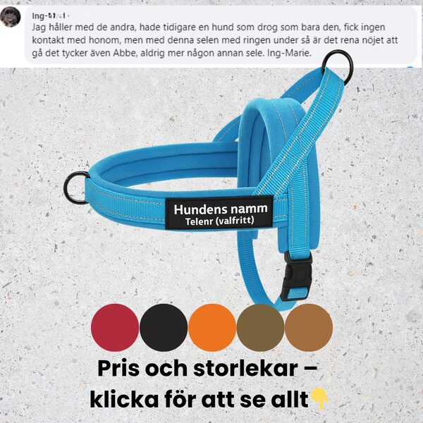 Hundsele med antidrag