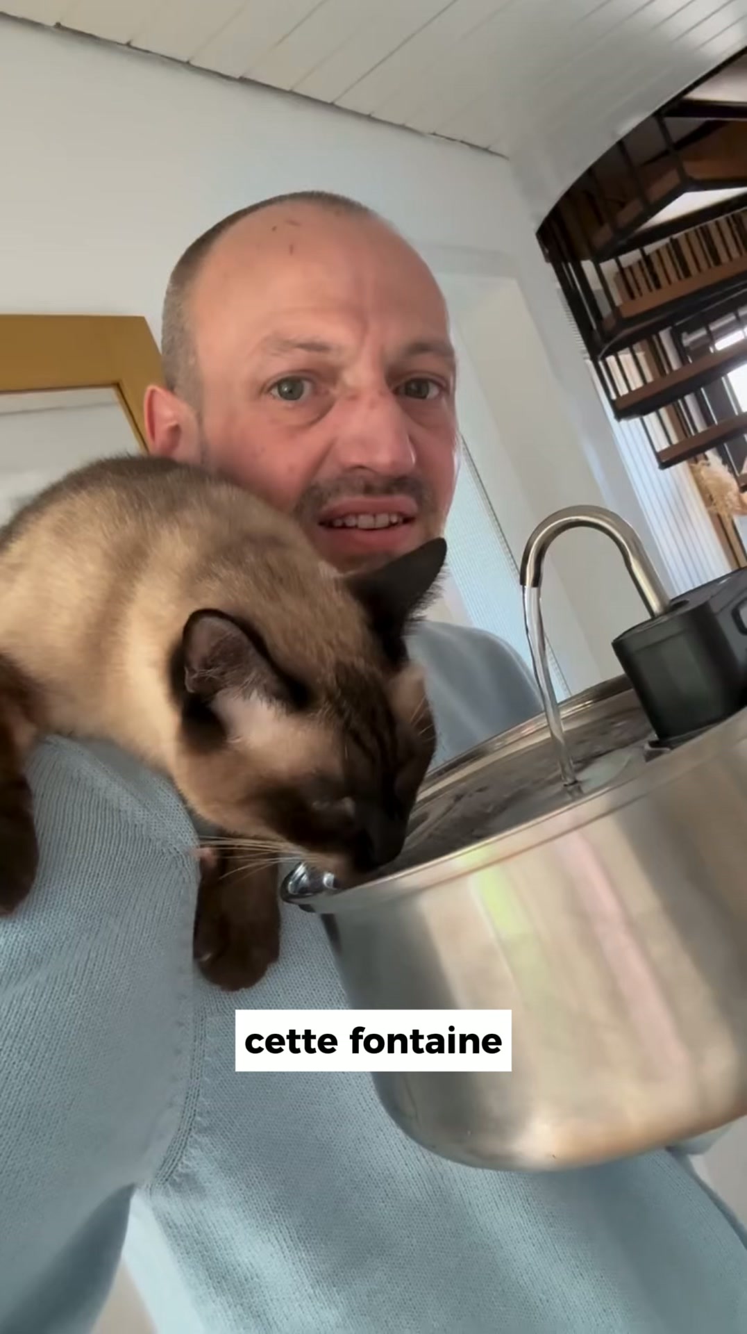 L'erreur de gamelle d'eau que font la plupart des propriétaires de chats