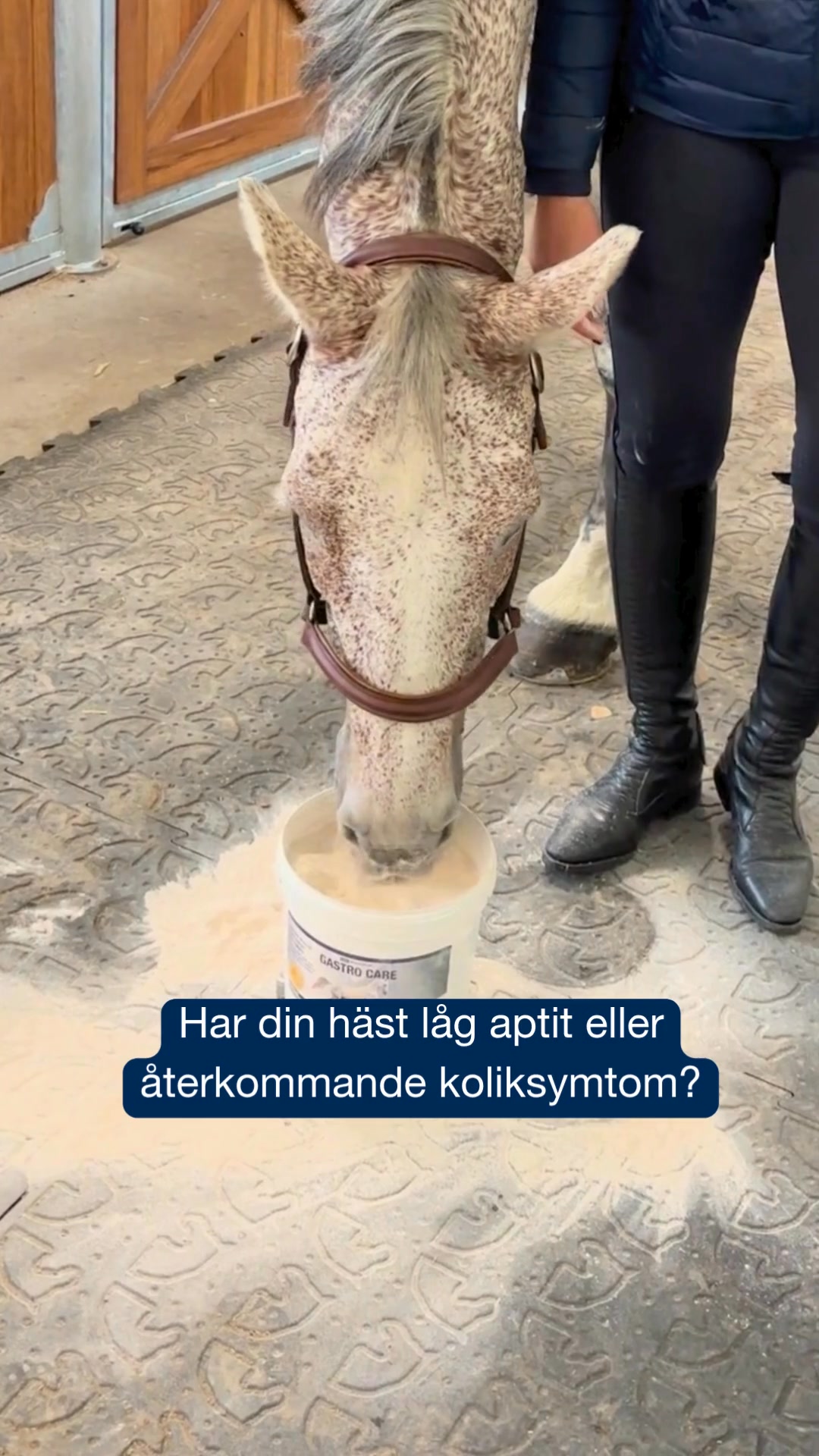 Skydda hästens mage – varje dag