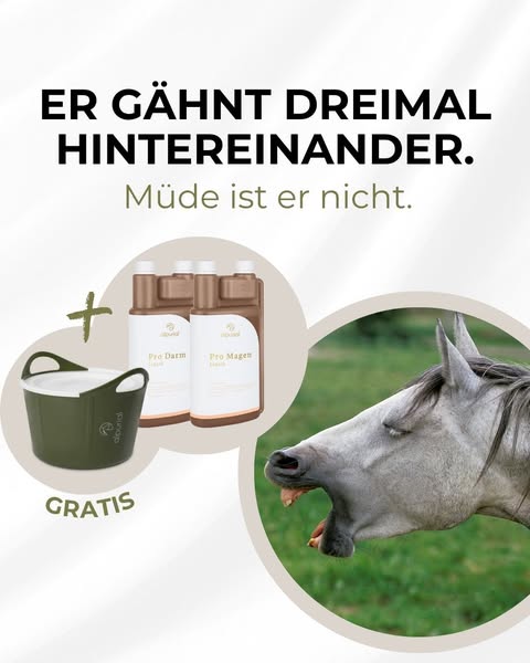 Gurten und Gähnen ein Warnzeichen?