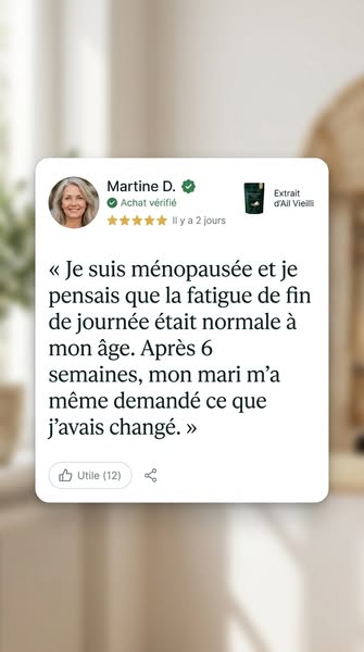 Plus de 500 clients ont laissé un avis