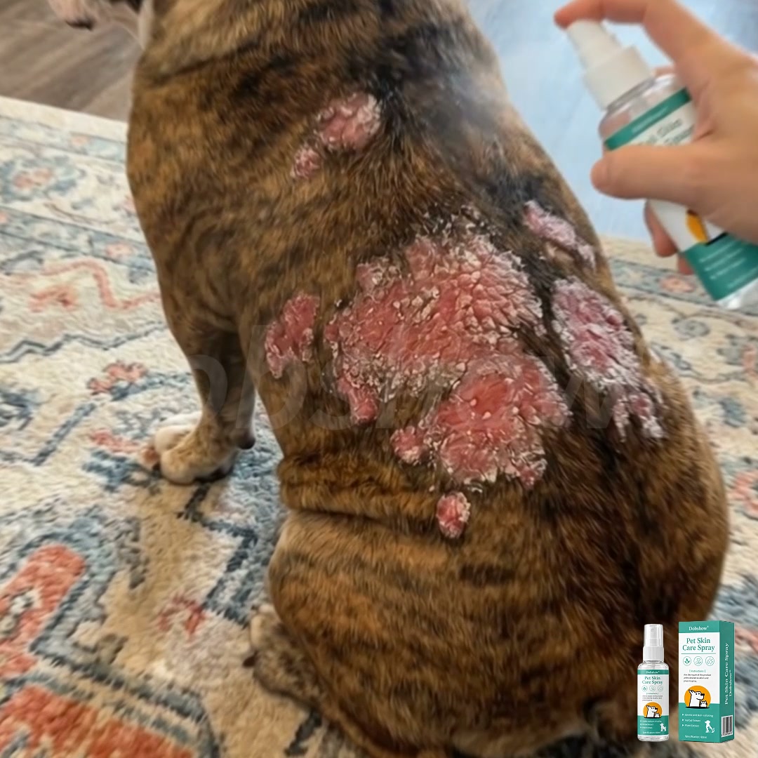 Support Your Pet's Skin & Keep Household Safe, Fastest delivery in 1‑3 days