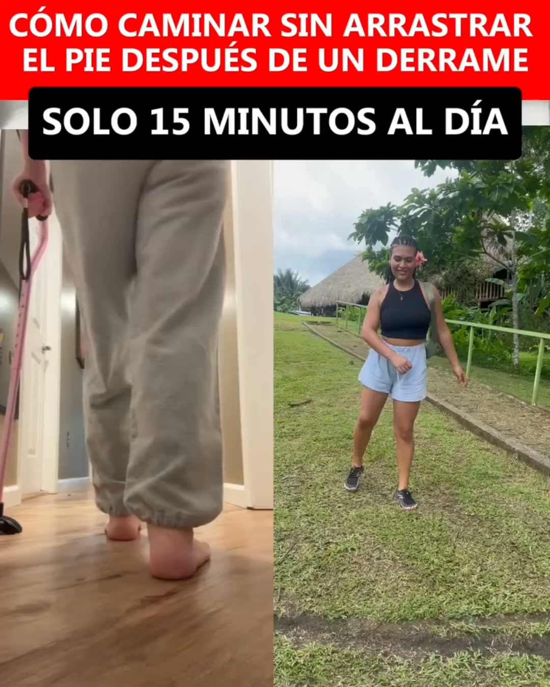 Purolina EMS por 39 € — Solo 100 unidades