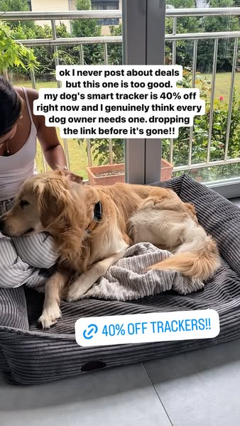 Finally! 40% off Smart Dog Trackers.