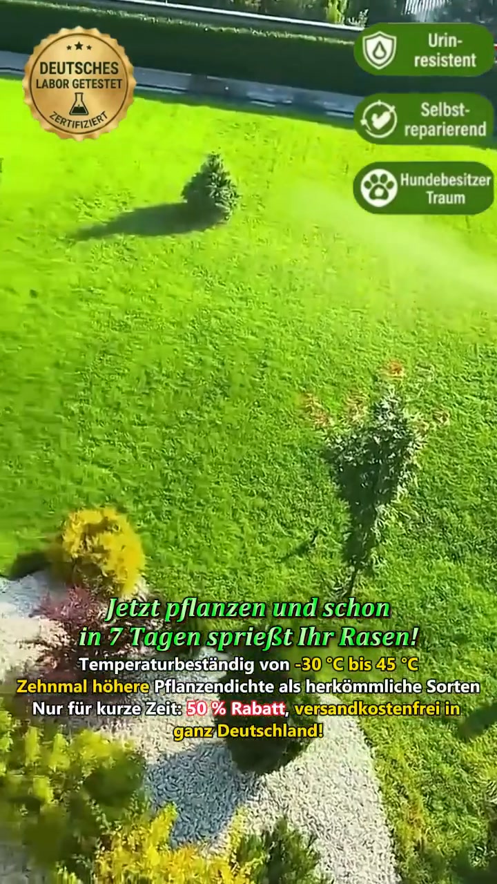 [99 % Keimrate in 7 Tagen] Mach Schluss mit kahlen Rasenstellen!