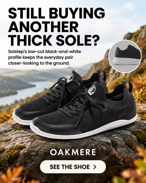 Solstep for autumn