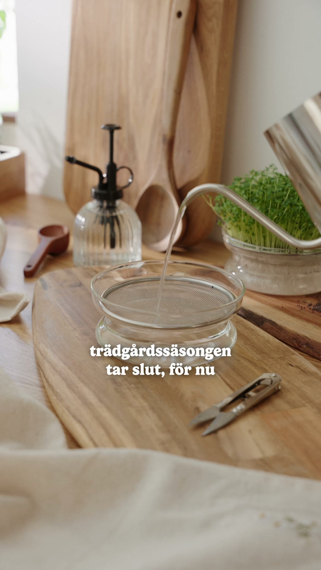 Microgreens-säsongen är igång!