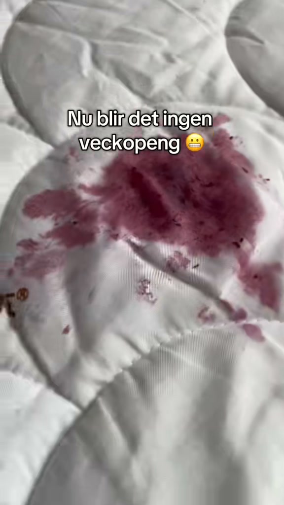 Blåbär på madrassen – se resultatet!