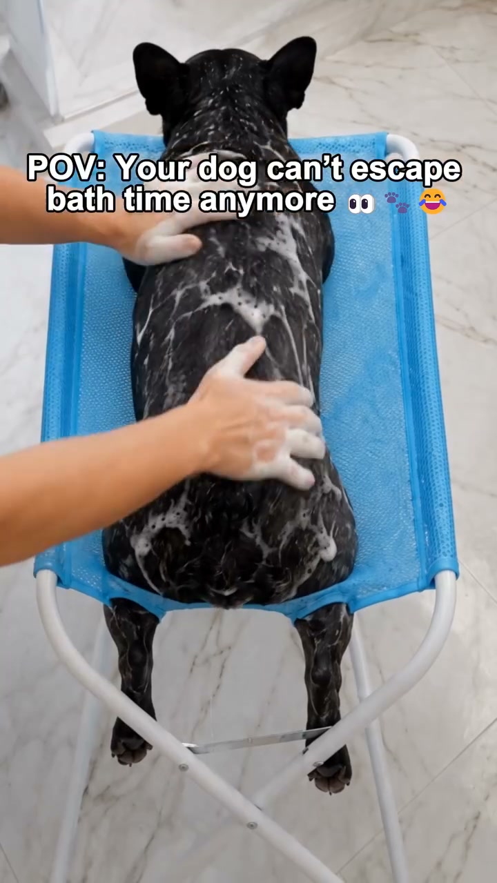 Trim Nails & Bathe Your Pet in Minutes—Zero Scratches!