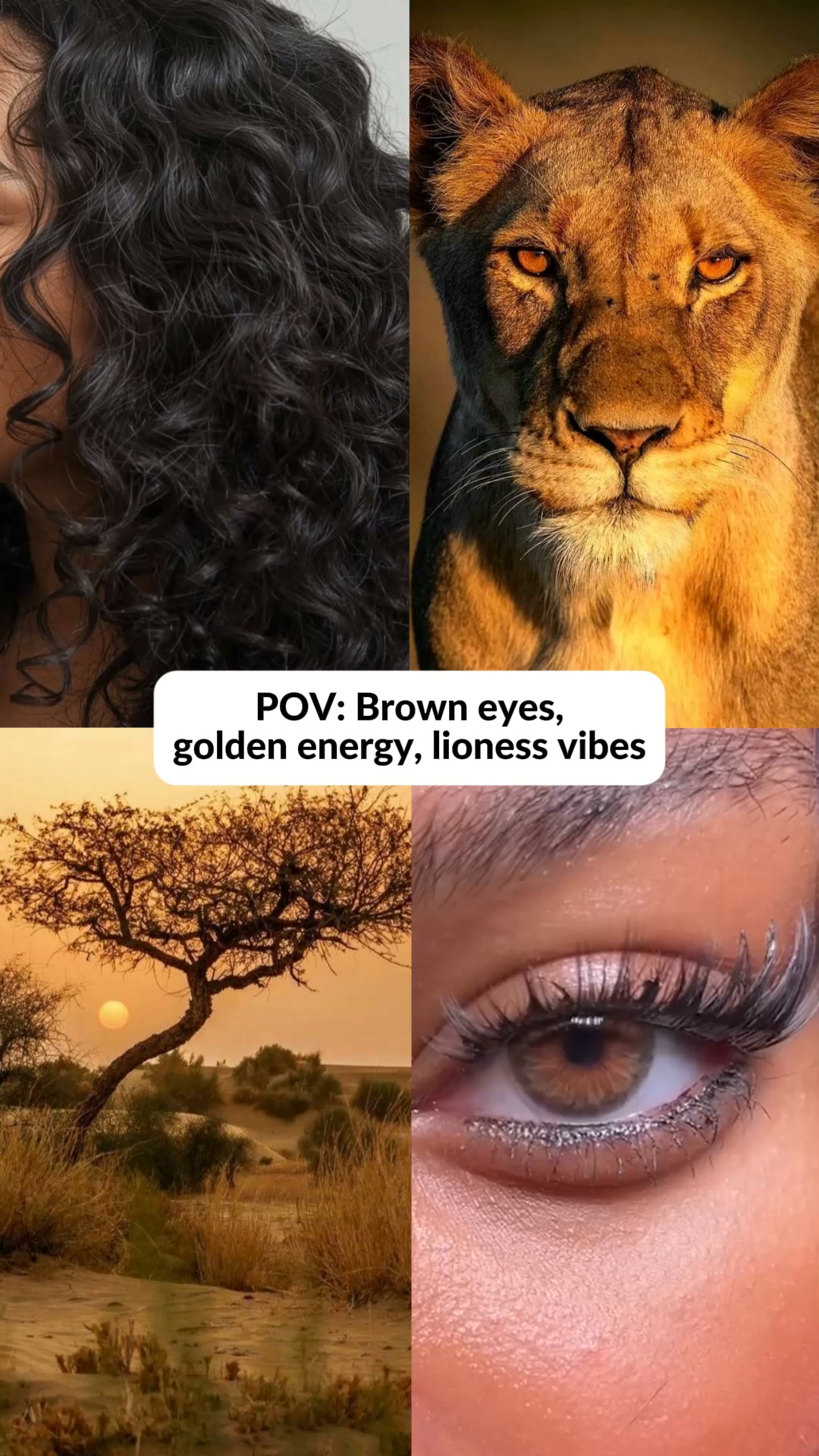 Outstanding quality