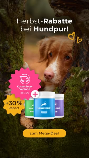 Jetzt 30% sparen