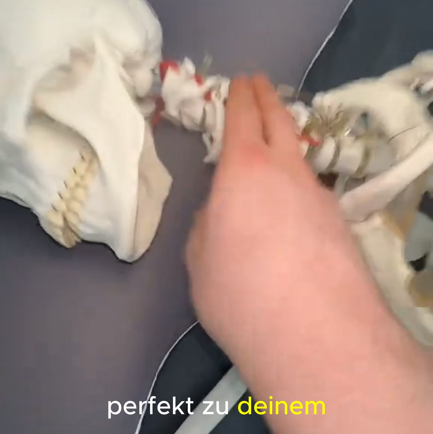 Endlich besser schlafen