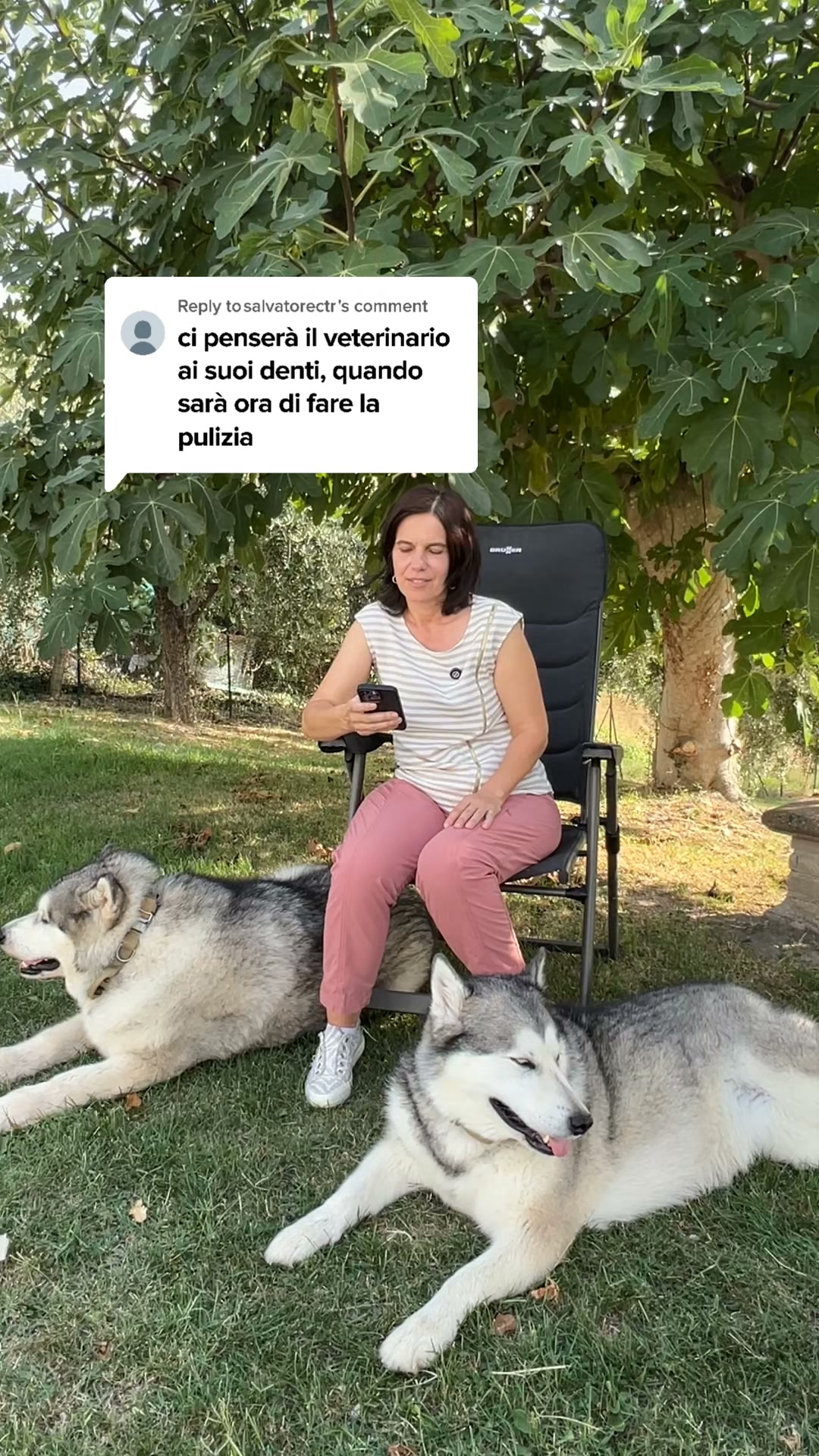 NOVITÀ: la polvere che elimina placca e alito cattivo