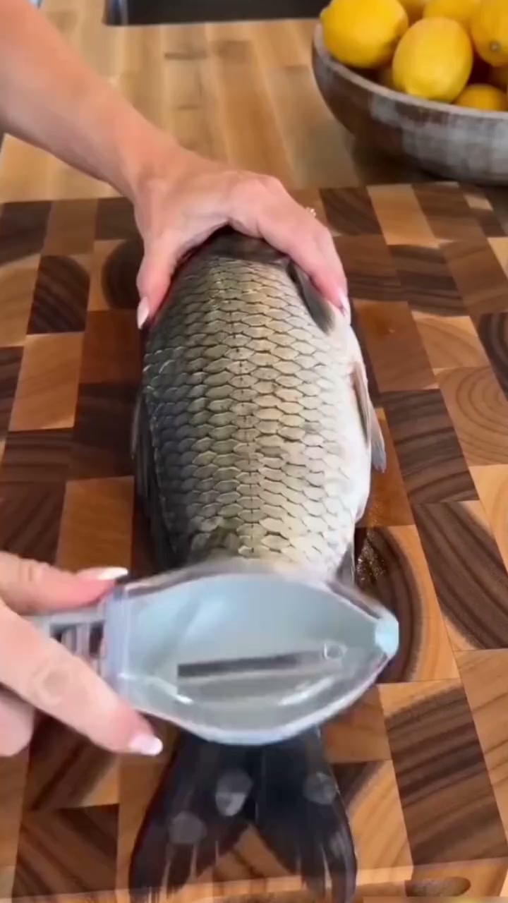 Fish Scaler Tool with Scale Catcher | Easy Fish Prep