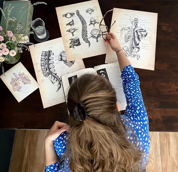 Die 7 meistbestellten Anatomie-Motive