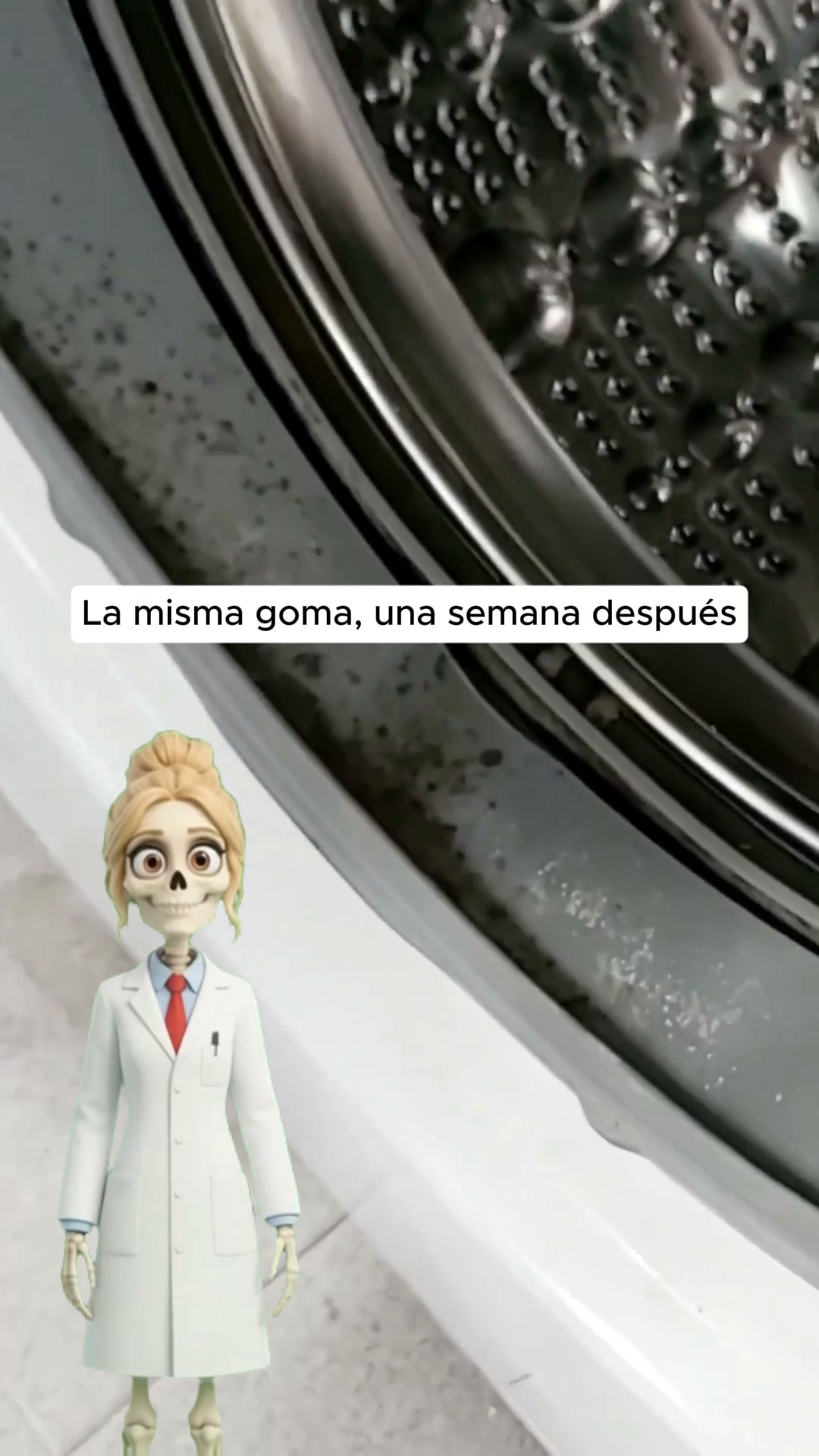 Gáale la batalla l pelo de tu mascota