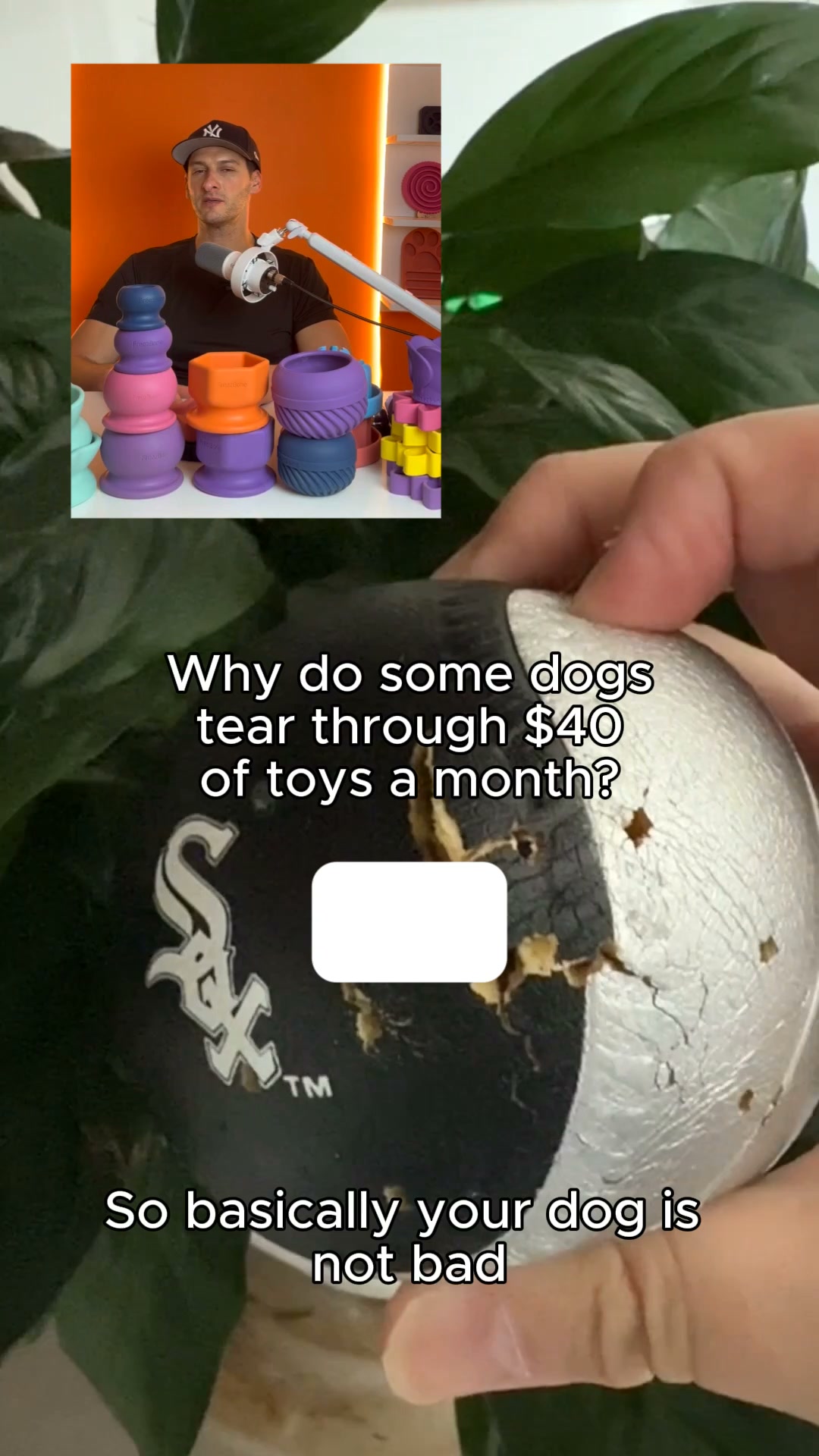 BUY 2 SAVE 15%