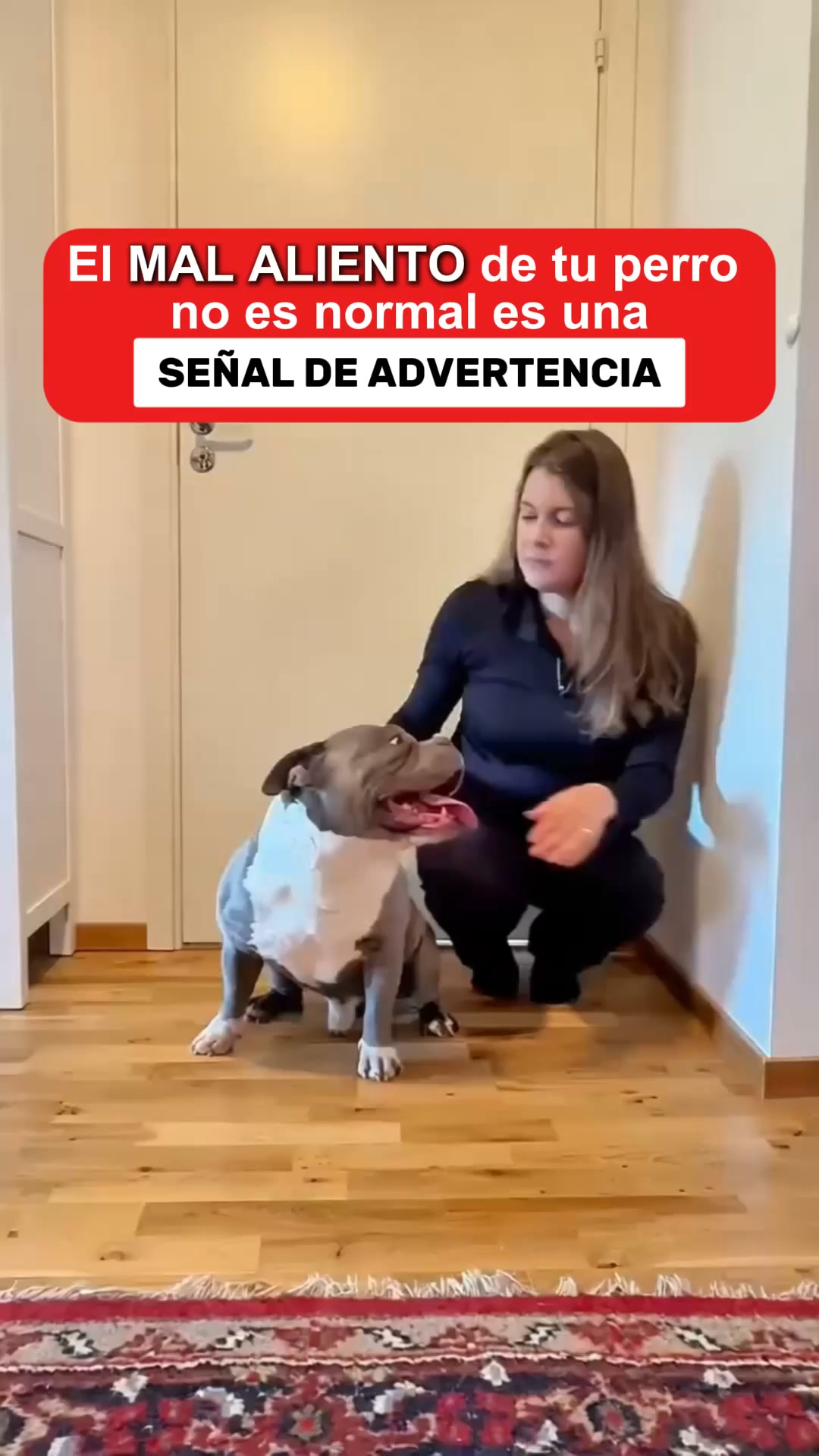 Pago Contra Reembolso - Envío Gratis 24/48h