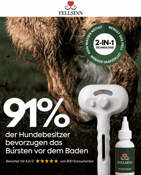 Nebelbürste™ | 50 % Rabatt