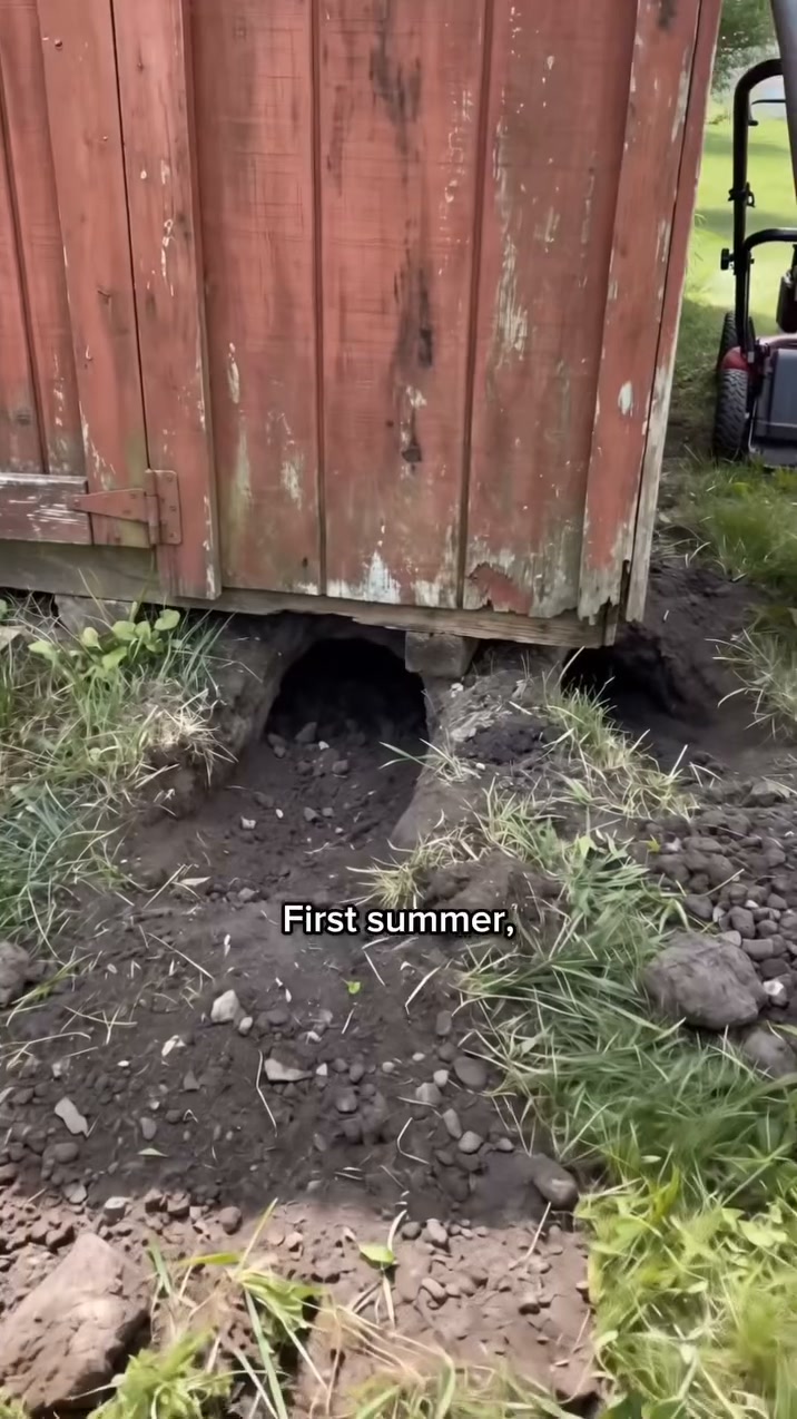 Sofyre for Groundhog Problems