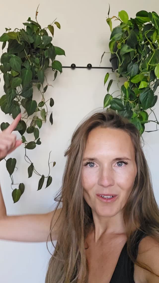 Anúncio de Leaflo