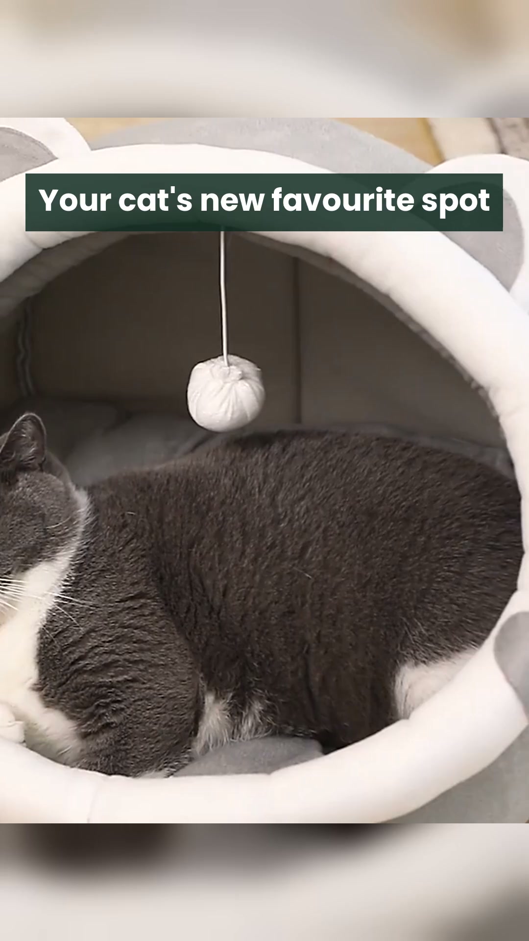 The Cosy Cat Cave They'll Love