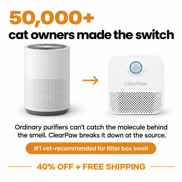 Get Rid Of Litter Box Smell For Good
