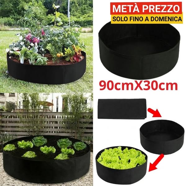 Nulla come le verdure di casa