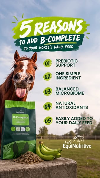 Purpose-Built Nutrition for Horses.