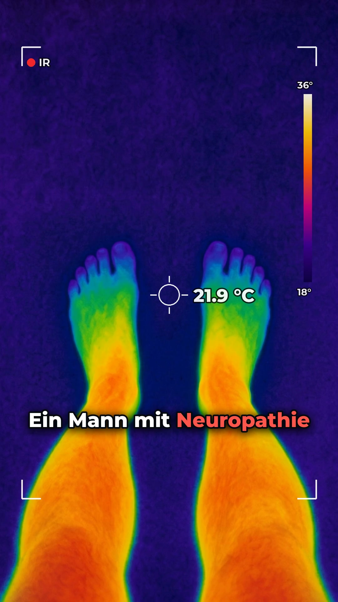 Erde dich noch heute