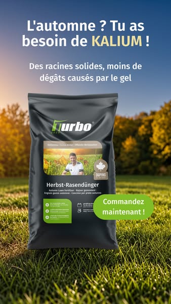 Sauver son gazon après l'été
