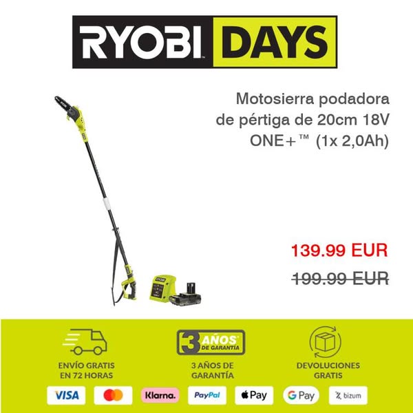 Motosierra podadora de pértiga de 20cm 18V ONE+™ (1x 2,0Ah)