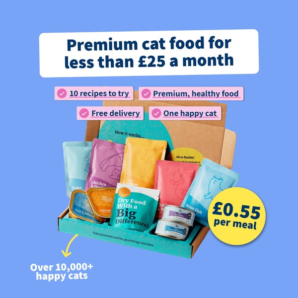 Cat food. Sorted.