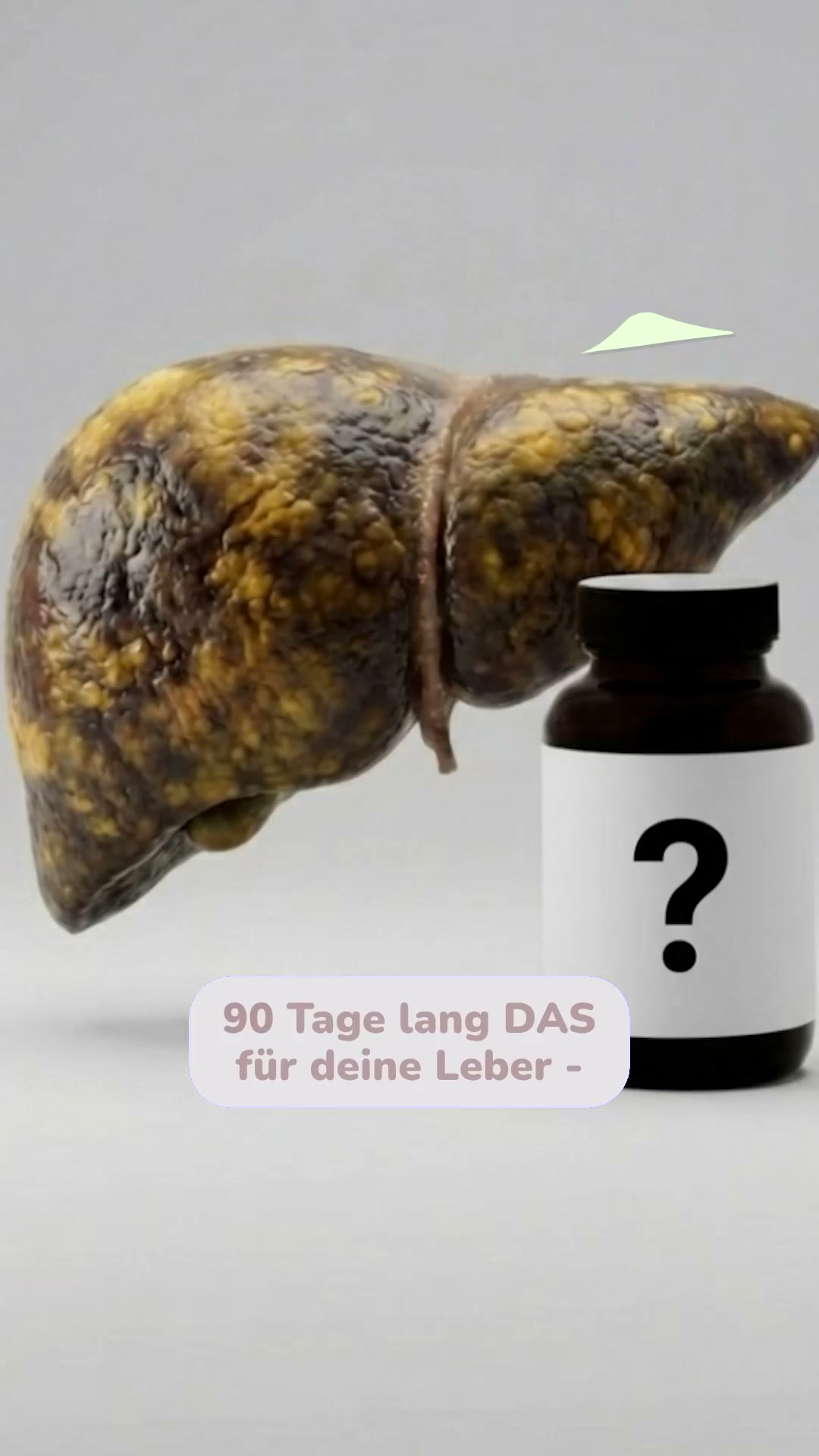 Leber-Detox aus der Natur!