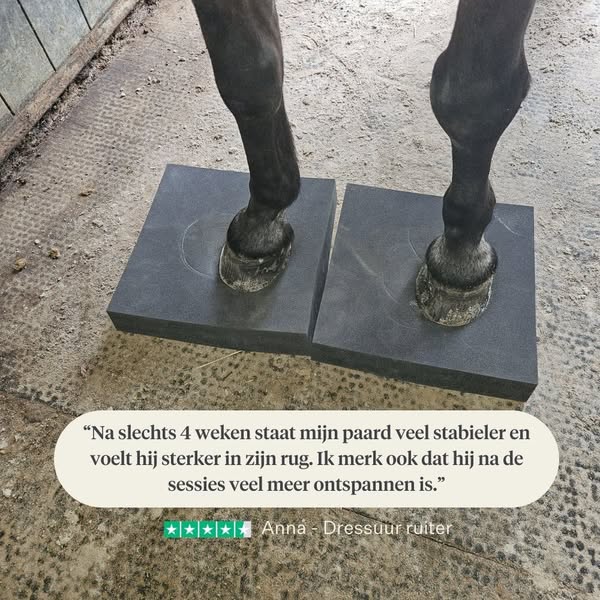 Versterkt de romp, buik- en rugspieren