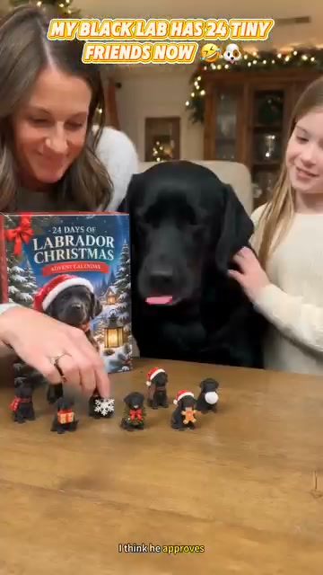 Black Lab Advent Calendar