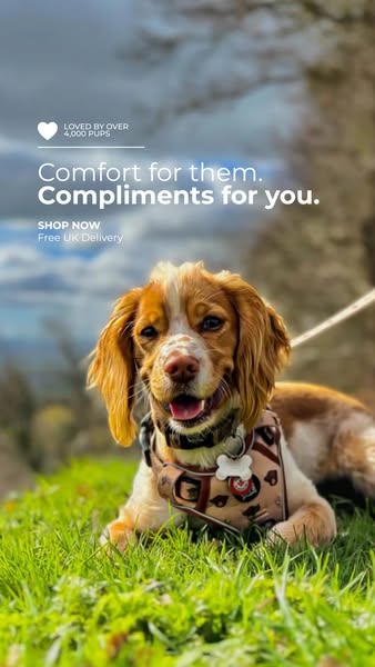 Comfort for Them. Compliments for You.