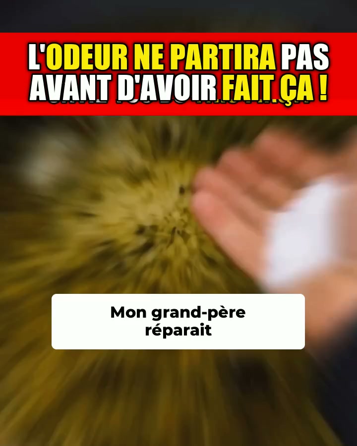 Fini les bactéries et les odeurs d'animaux dans ta machine à laver