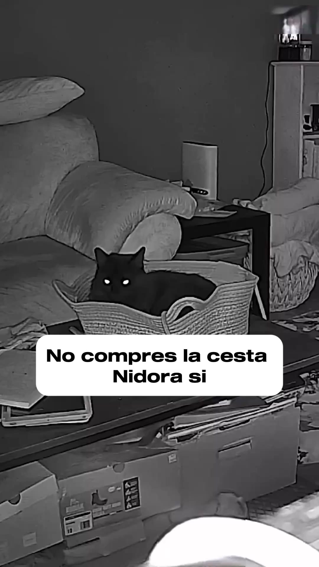 El territorio natural que lima las uñas de tu gato