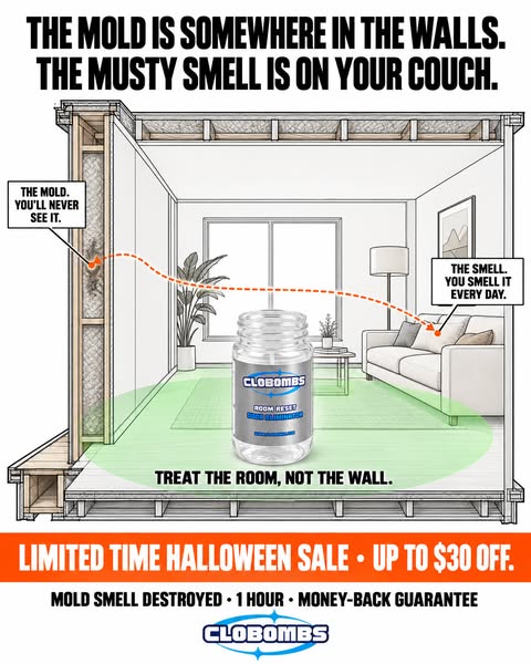 Mouldy Smell? Treat the Lingering Odor