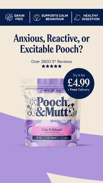 Anxious, reactive or excitable pooch?